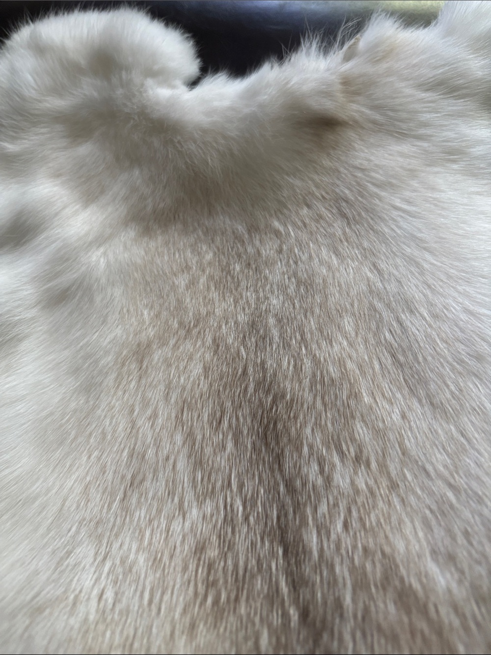 B0030 rabbit pelt decor crafts - Picture 2 of 3